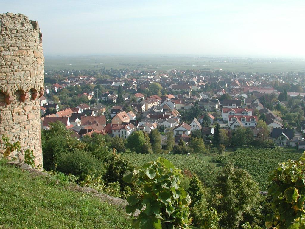 Altstadt-Residenz Manz Wachenheim an der Weinstraße 외부 사진